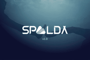 What is SPALDA Academy? - SPALDA Academy