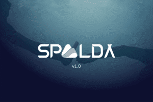 SPALDA Akademi Nedir? - SPALDA Academy