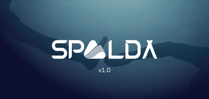 SPALDA Akademi Nedir? - SPALDA Academy