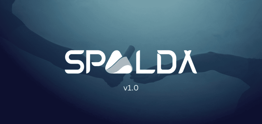 SPALDA Akademi Nedir? - SPALDA Academy