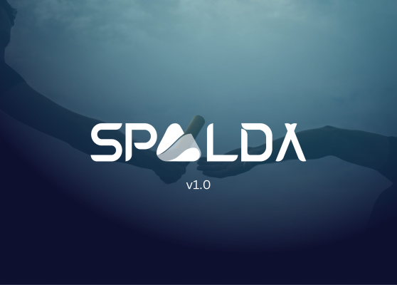 What is SPALDA Academy