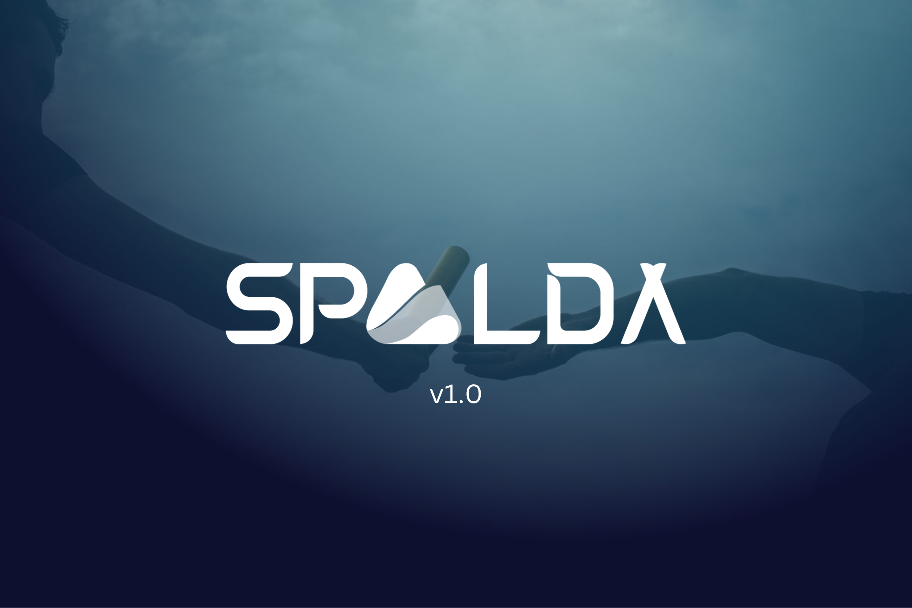 What is SPALDA Academy