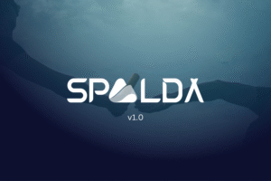 SPALDA Akademi Nedir? - SPALDA Academy